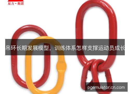 吊环长期发展模型，训练体系怎样支撑运动员成长